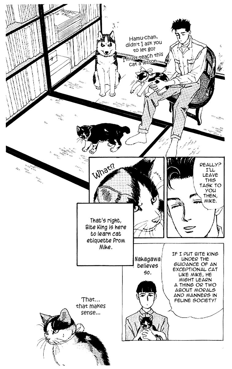 Doubutsu no Oishasan chapter 50 page 7