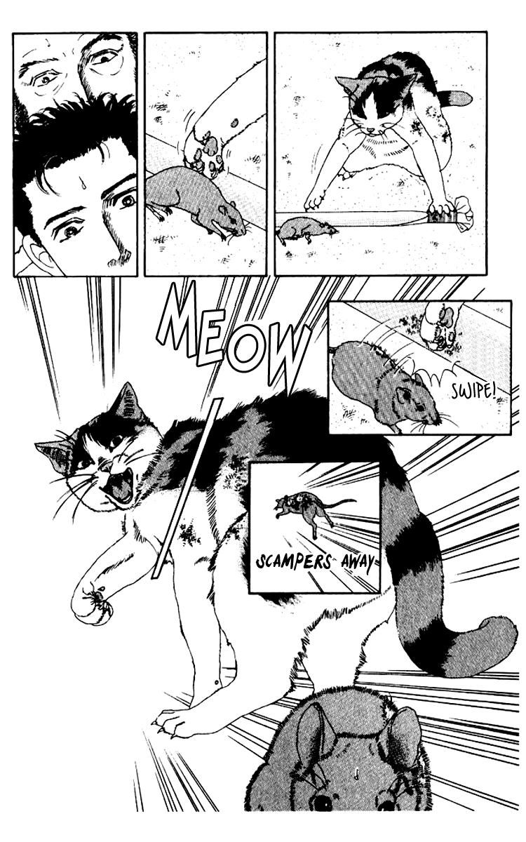 Doubutsu no Oishasan chapter 54 page 16