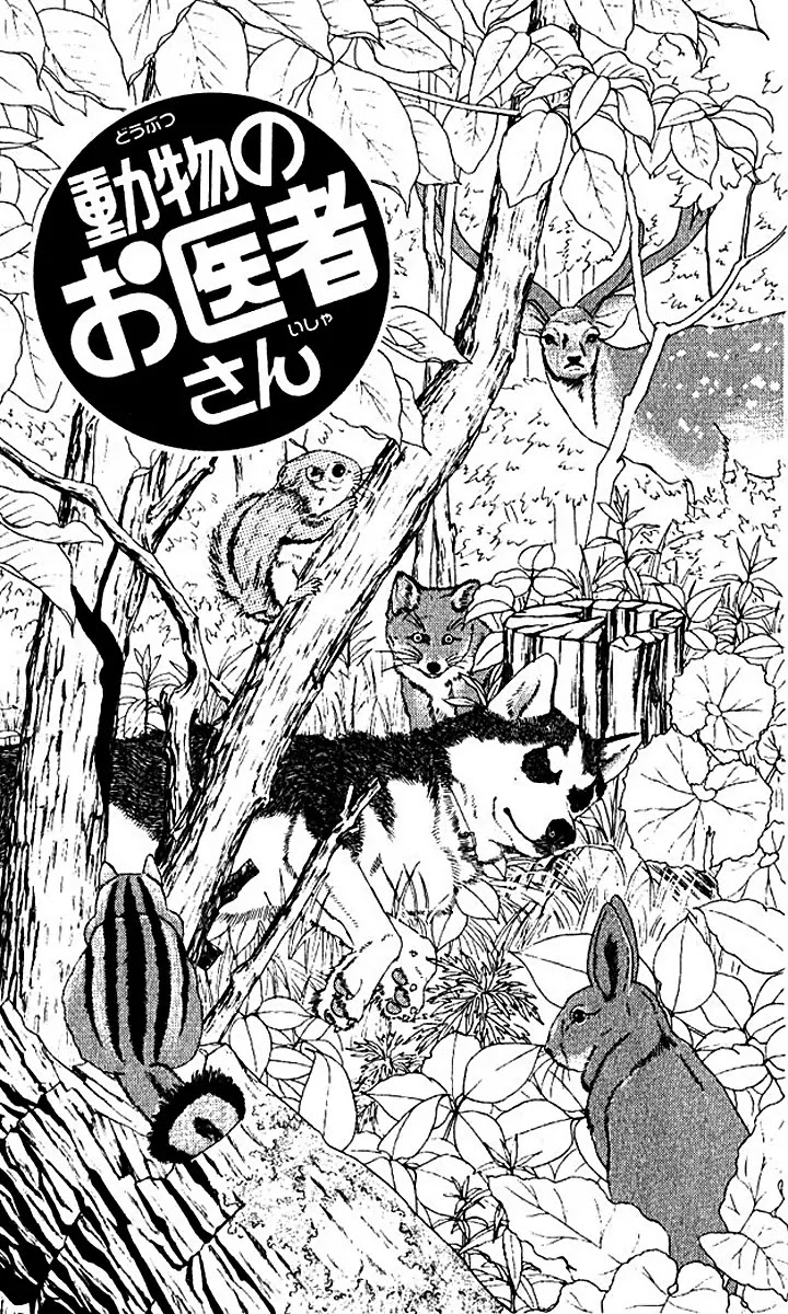 Doubutsu no Oishasan chapter 55 page 3