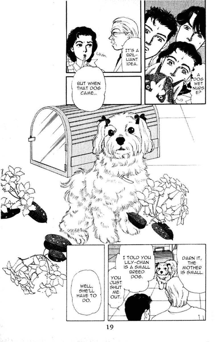 Doubutsu no Oishasan chapter 72 page 16