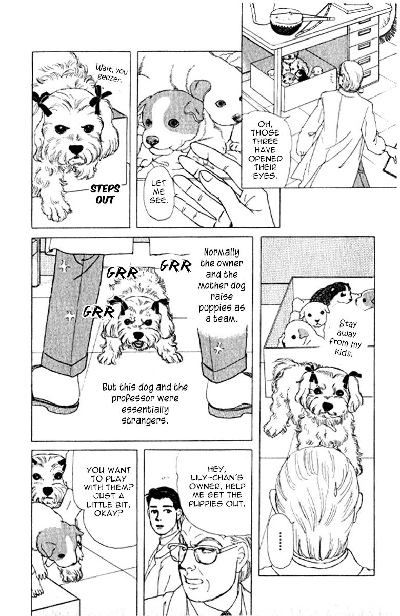 Doubutsu no Oishasan chapter 72 page 19