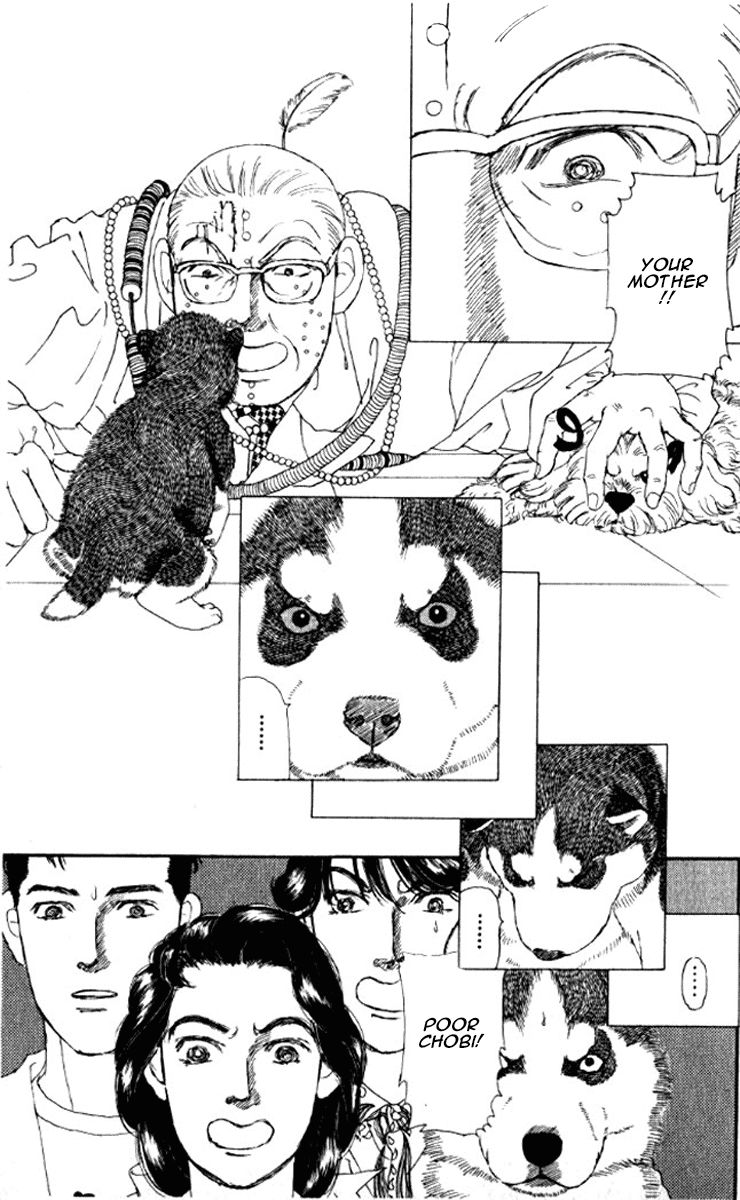 Doubutsu no Oishasan chapter 72 page 24