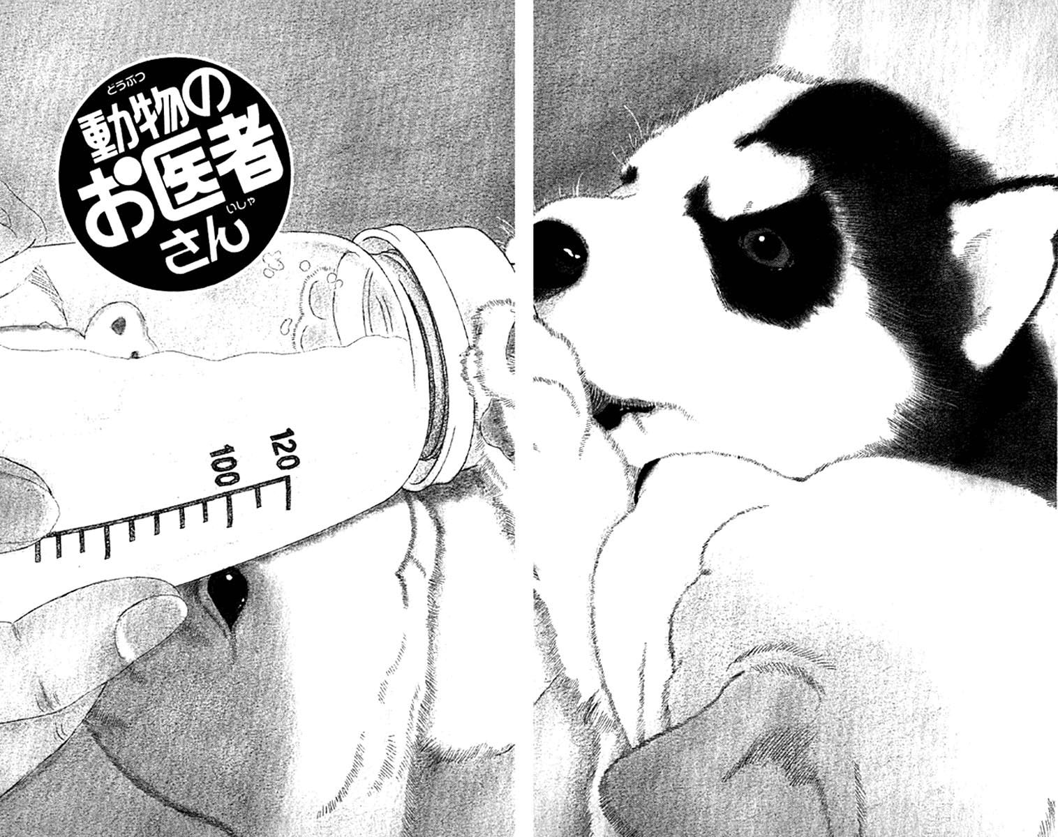 Doubutsu no Oishasan chapter 72 page 6