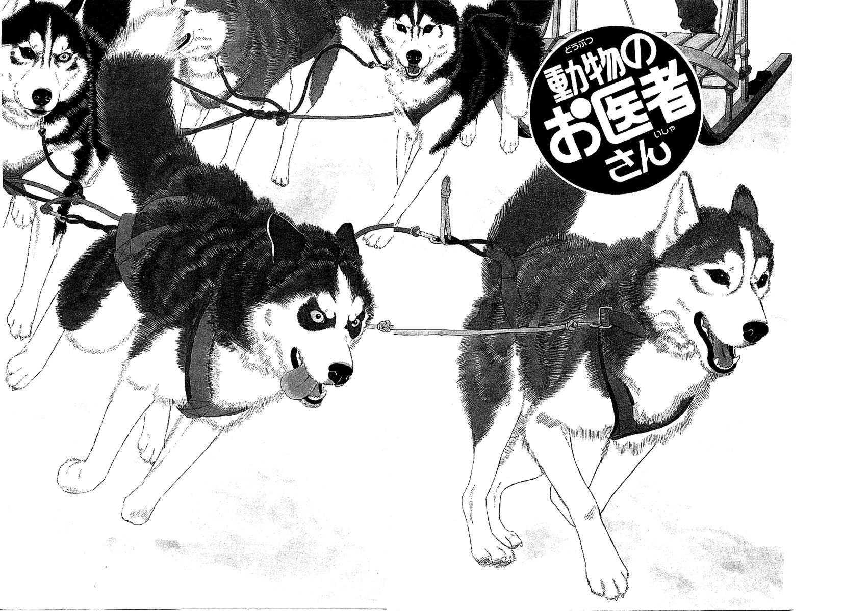 Doubutsu no Oishasan chapter 85 page 3