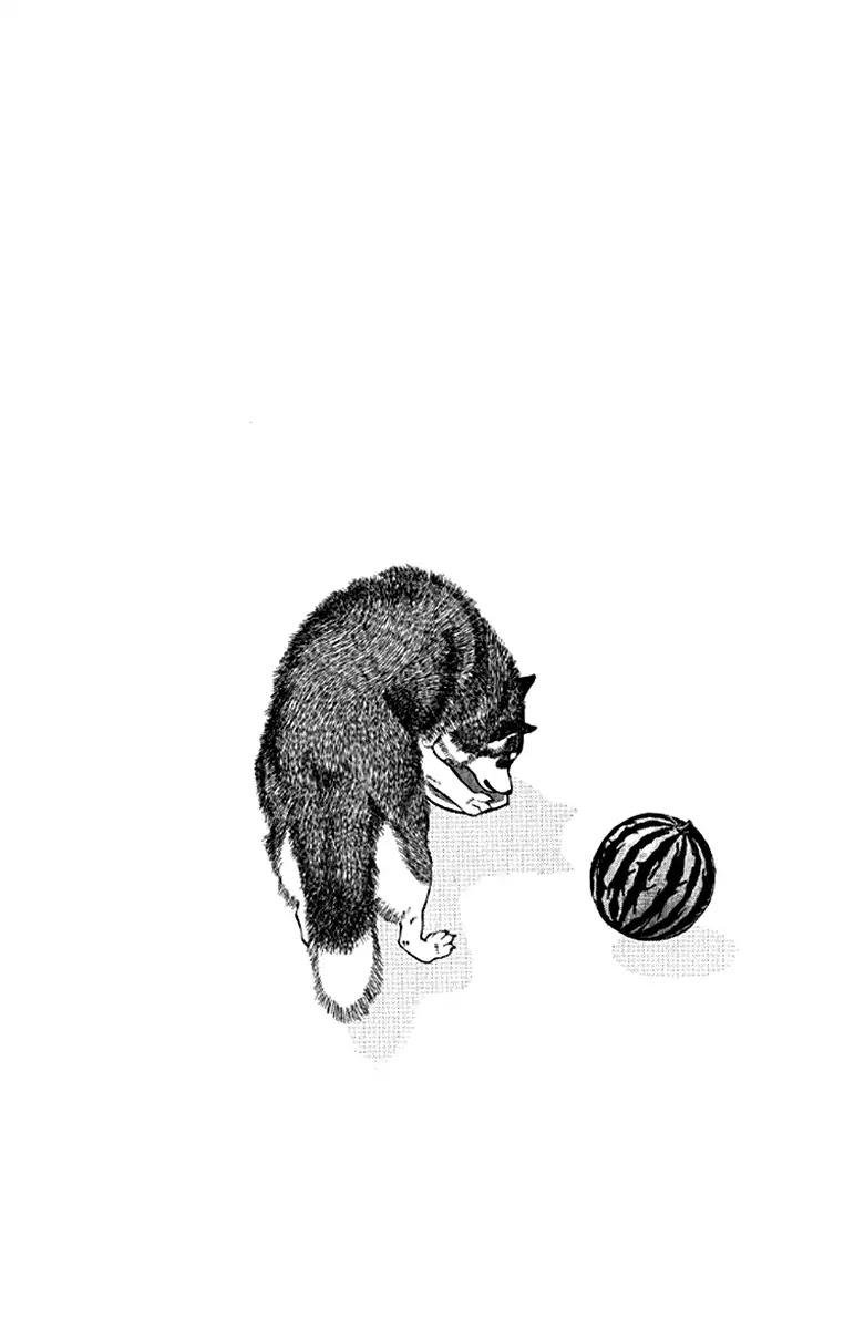 Doubutsu no Oishasan chapter 97 page 20