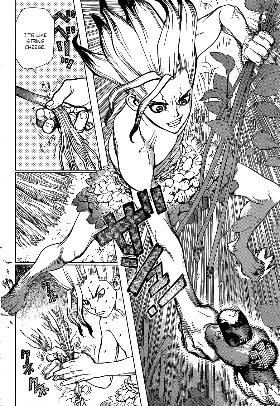 Dr. Stone chapter 13 page 14