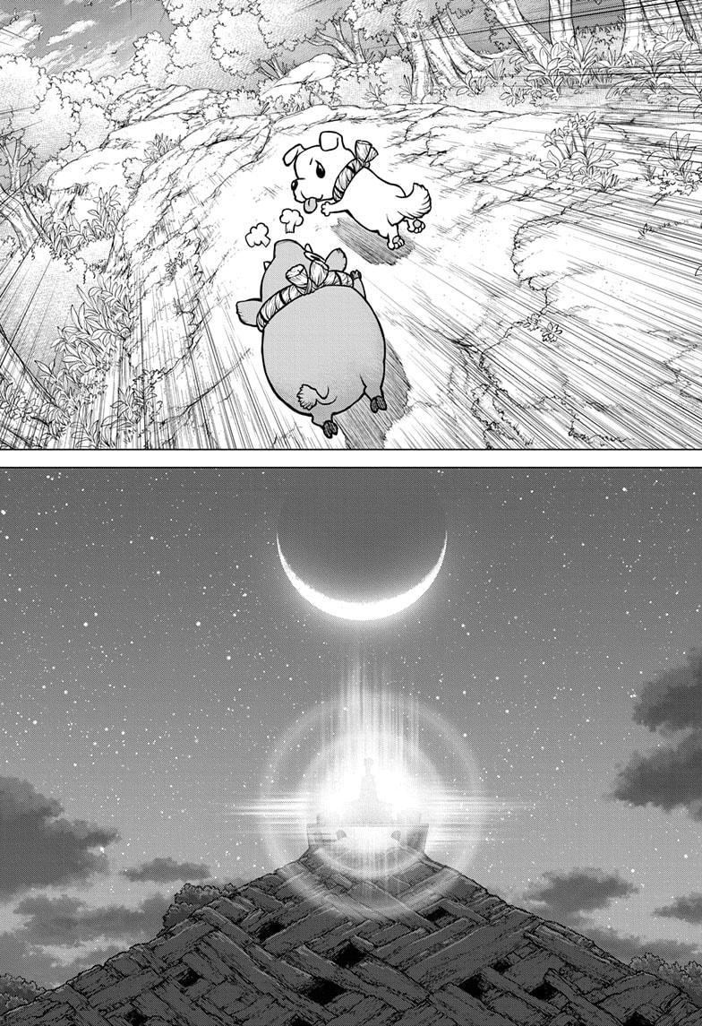 Dr. Stone chapter 193 page 14