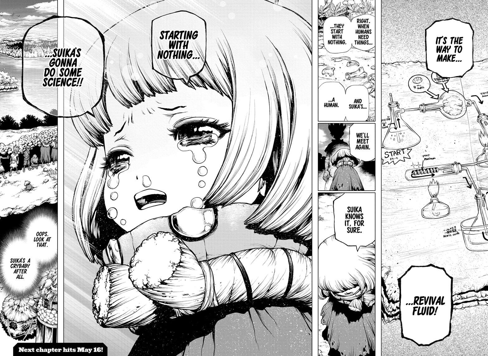 Dr. Stone chapter 195 page 17