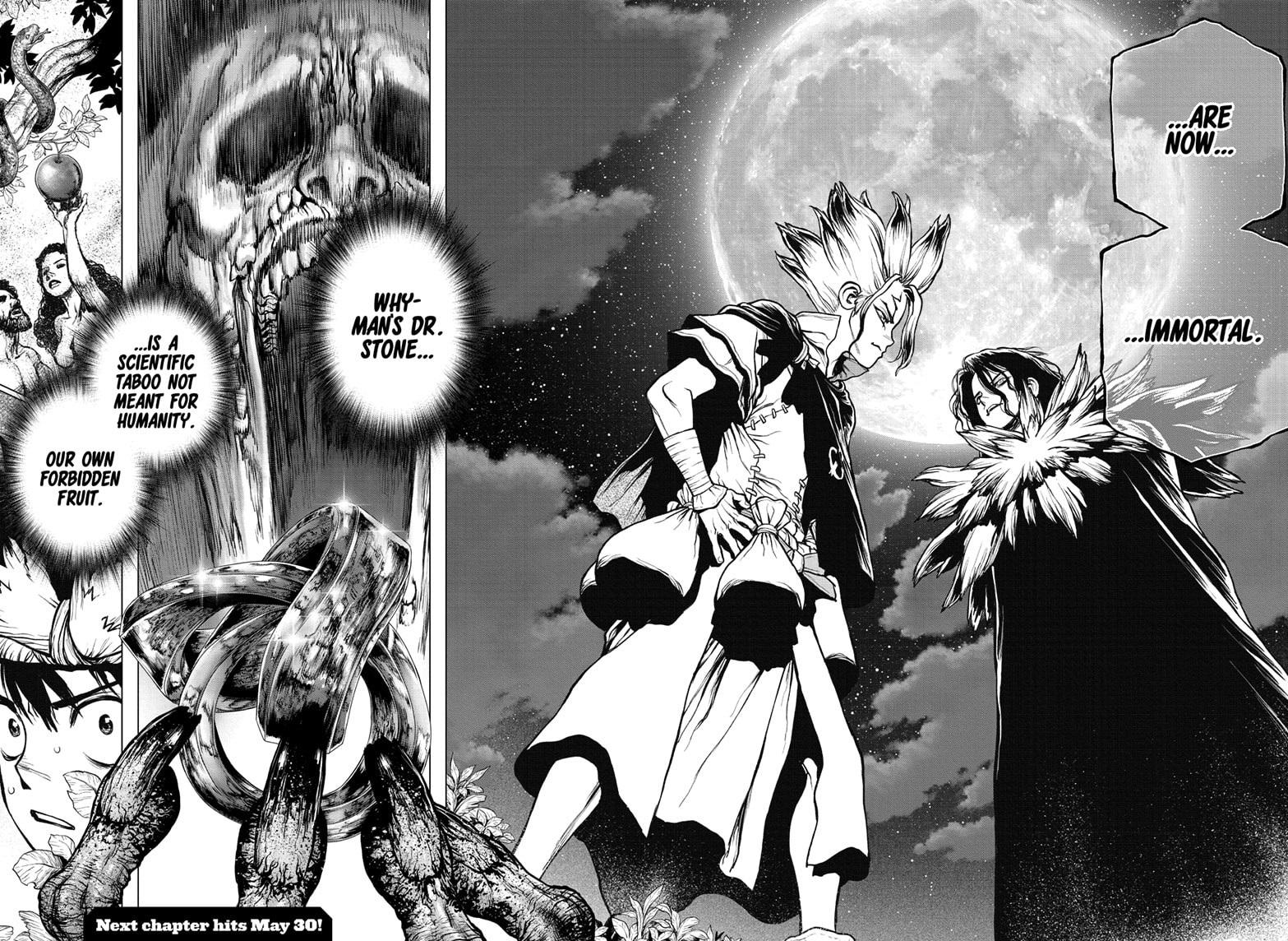 Dr. Stone chapter 197 page 17