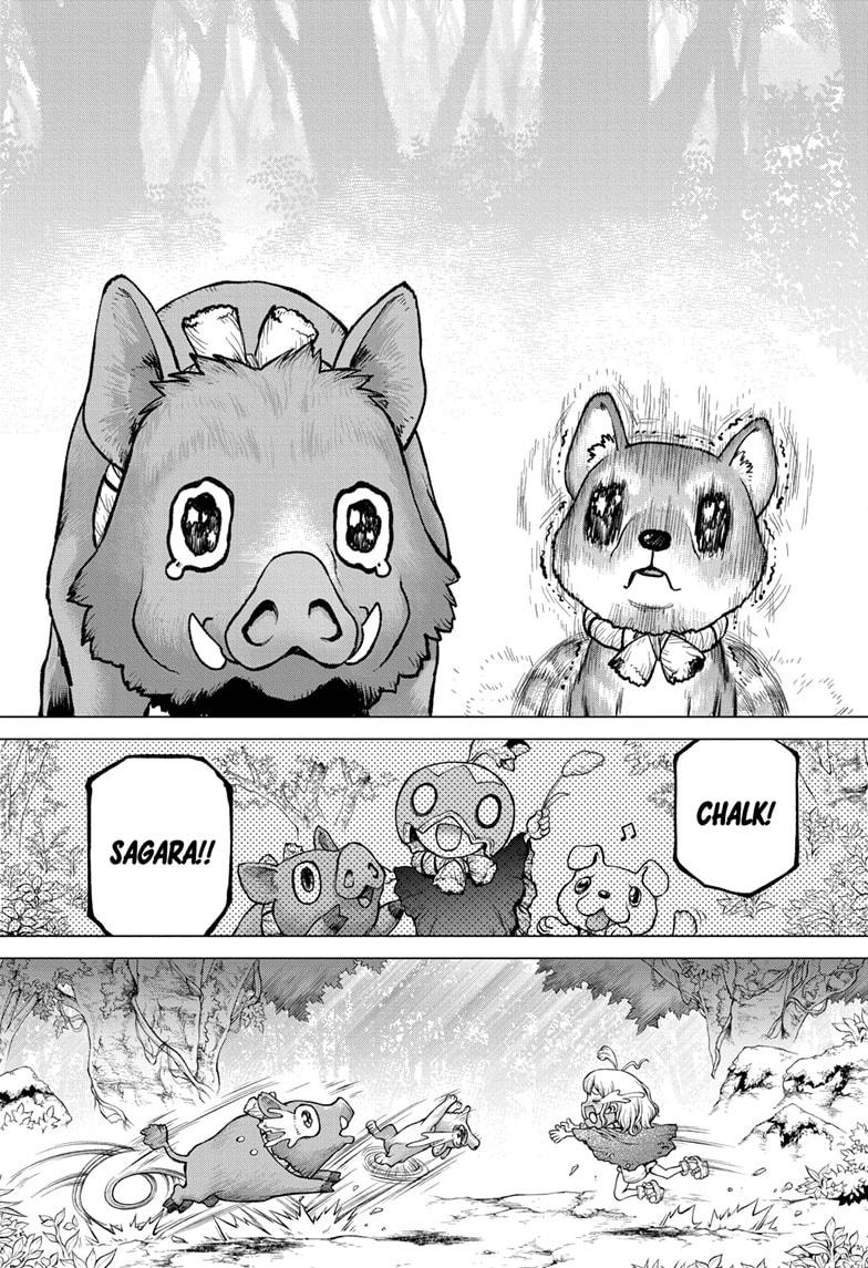Dr. Stone chapter 212 page 11