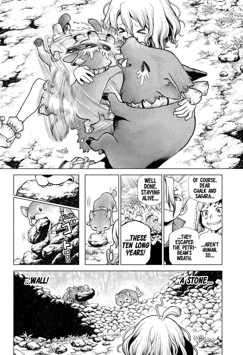 Dr. Stone chapter 212 page 12