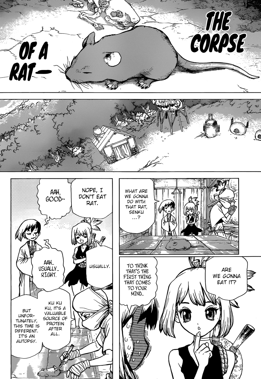 Dr. Stone chapter 41 page 5