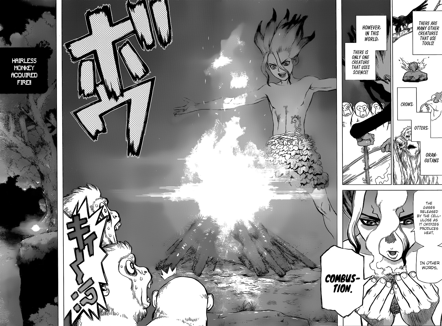 Dr. Stone chapter 13 page 16