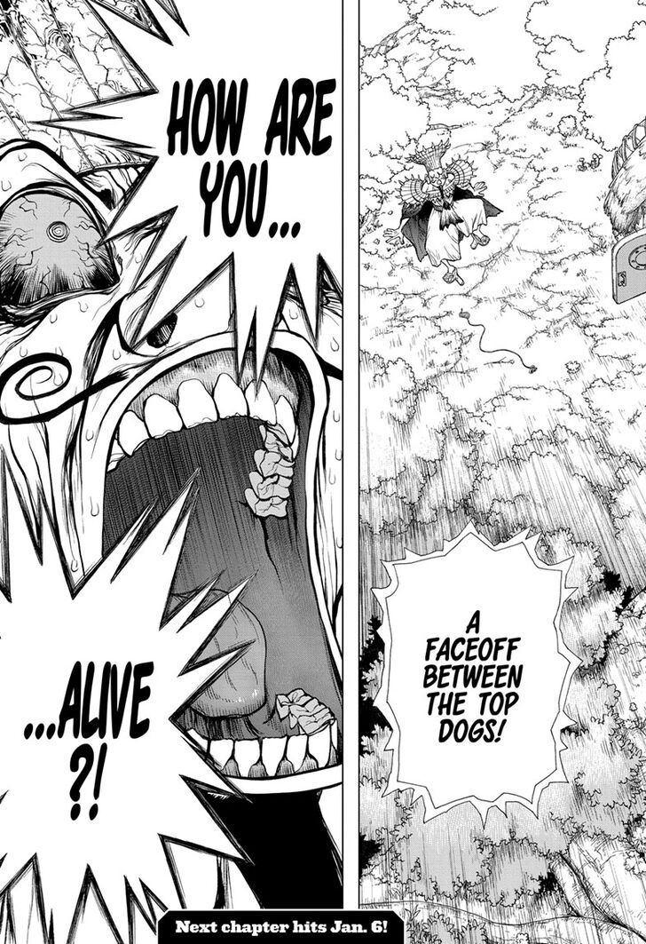 Dr. Stone chapter 134 page 19