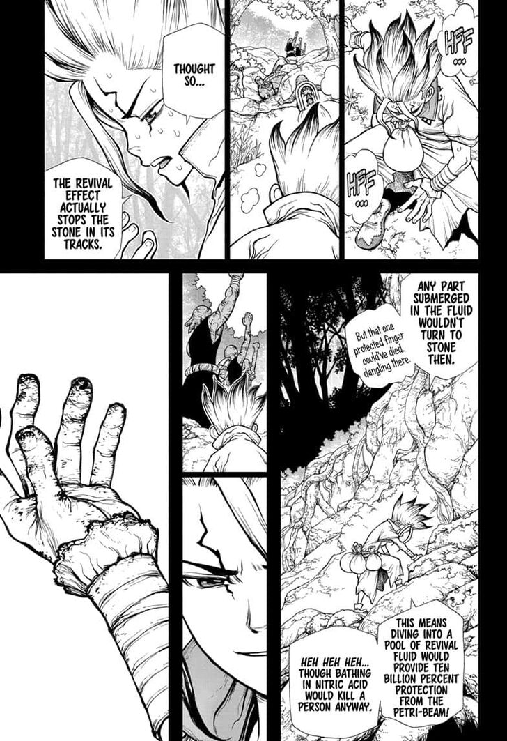 Dr. Stone chapter 135 page 11