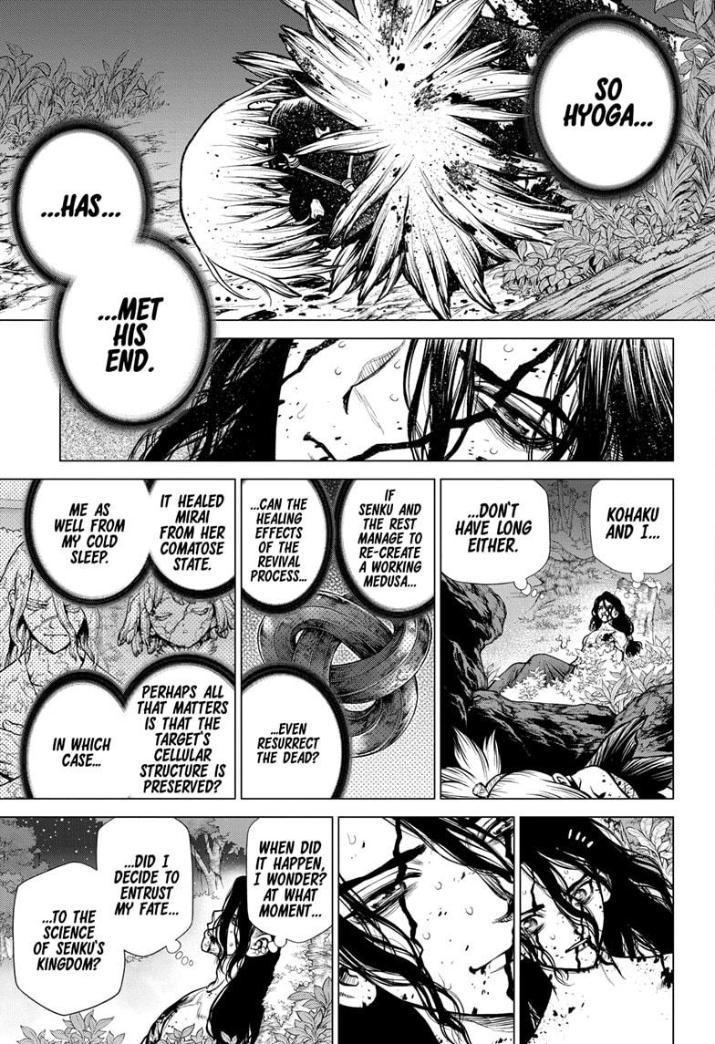 Dr. Stone chapter 188 page 14