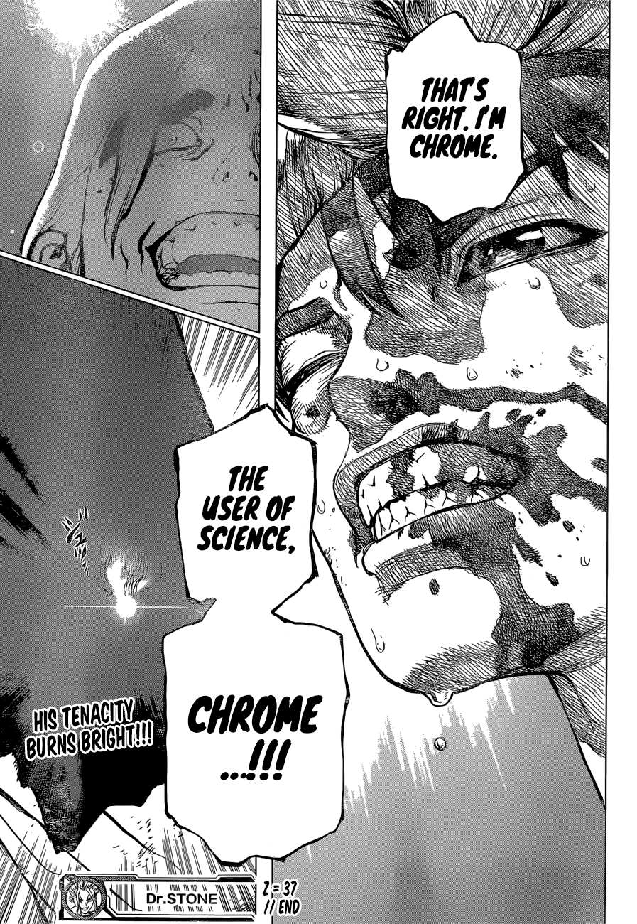 Dr. Stone chapter 37 page 19
