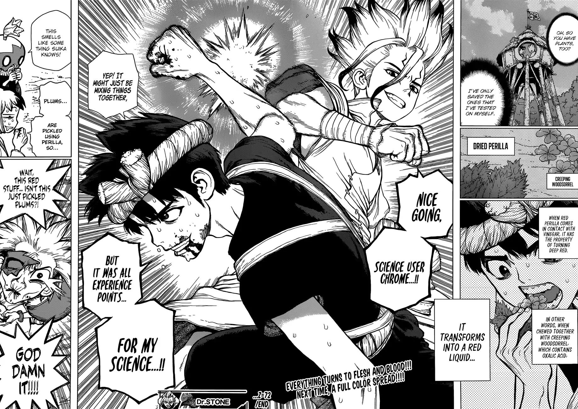 Dr. Stone chapter 72 page 17