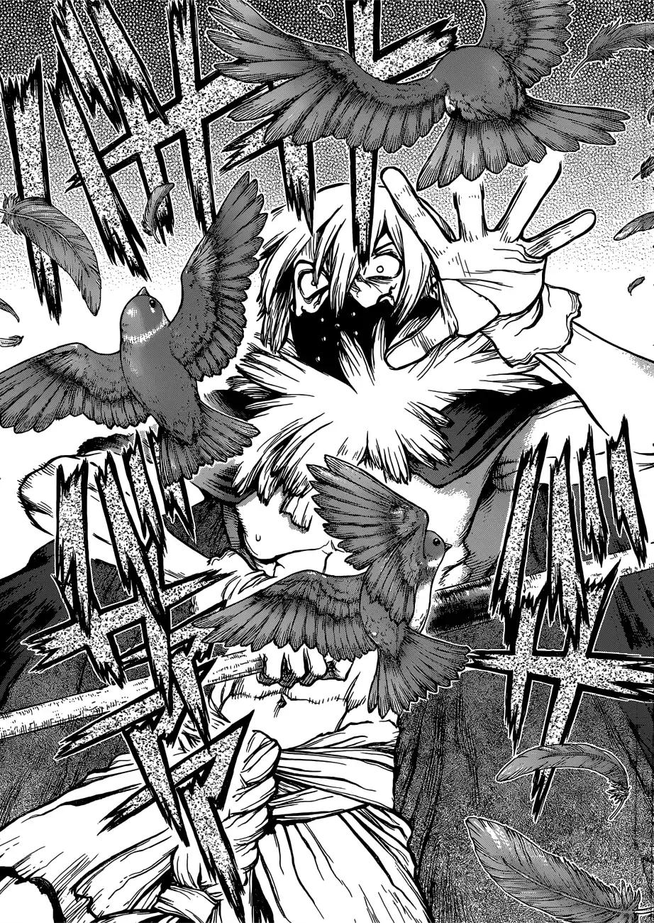 Dr. Stone chapter 80 page 16