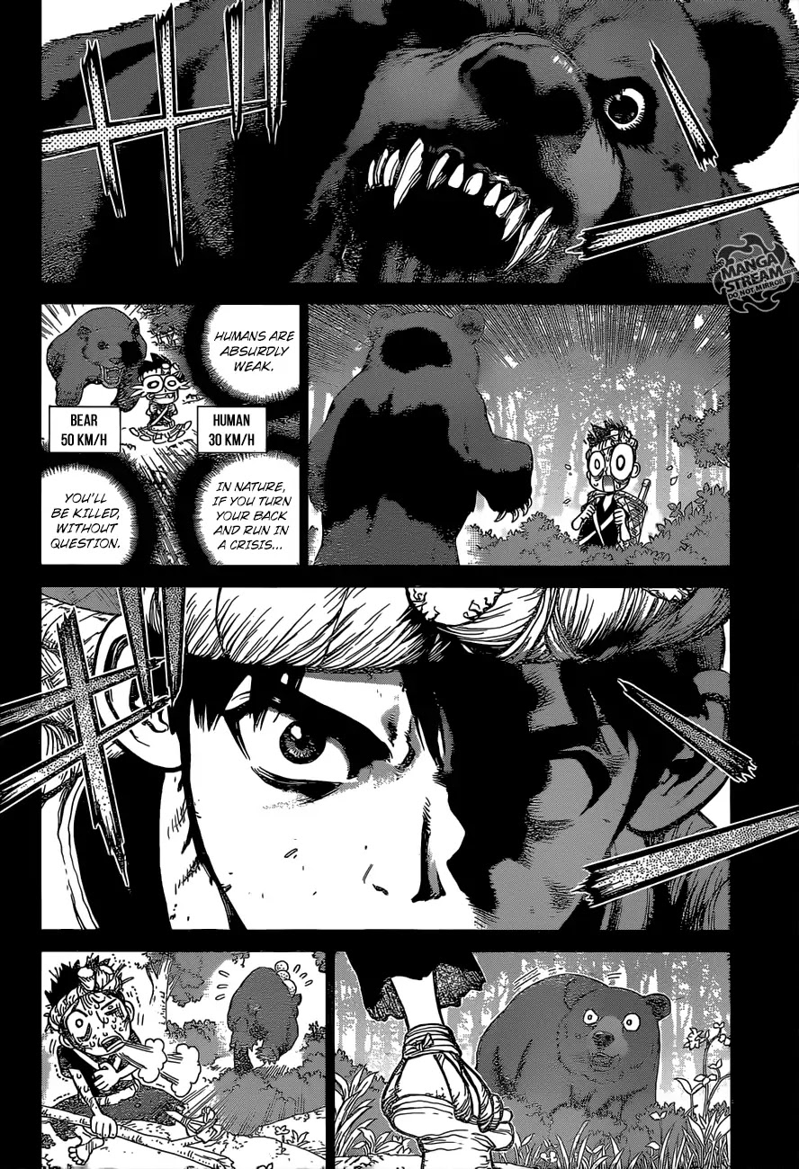 Dr. Stone chapter 89 page 13