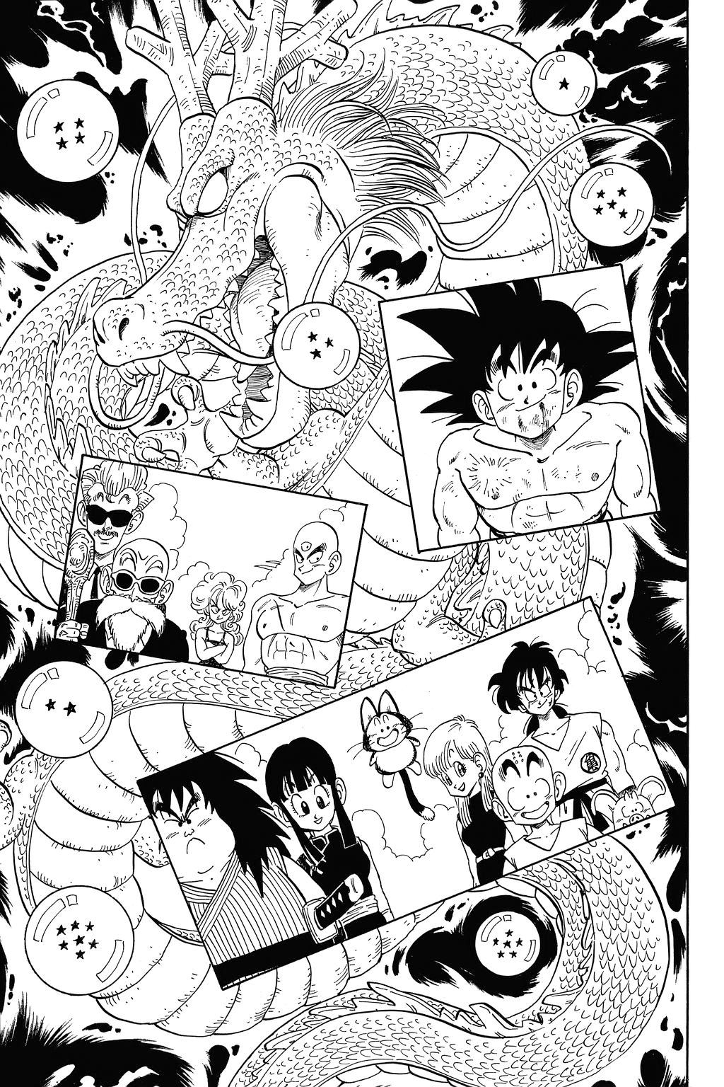 Dragon Ball chapter 194 page 8