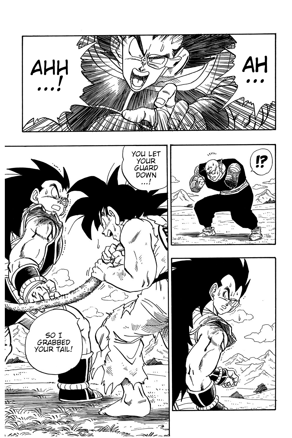 Dragon Ball chapter 202 page 8