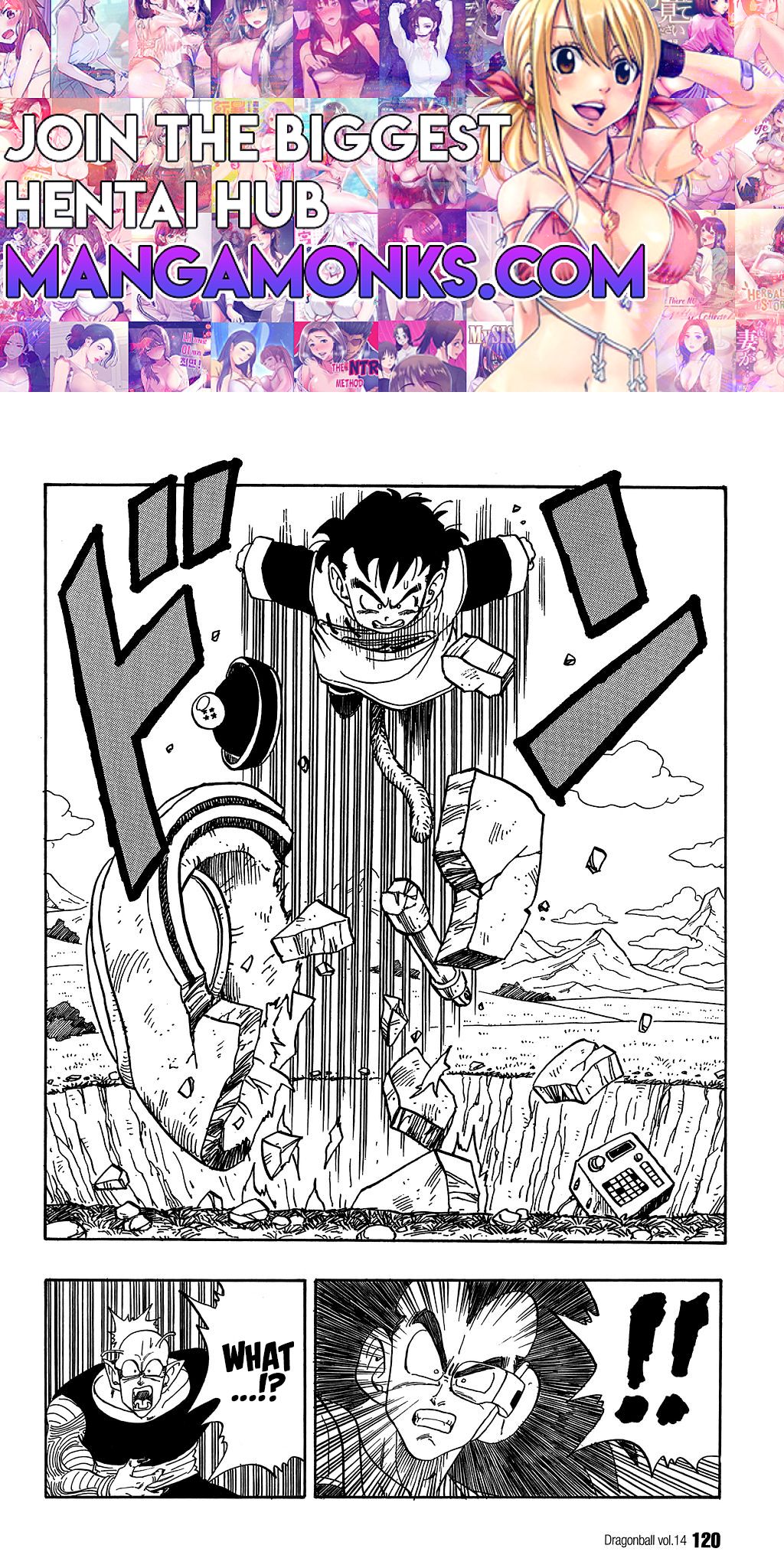 Dragon Ball chapter 203 page 1