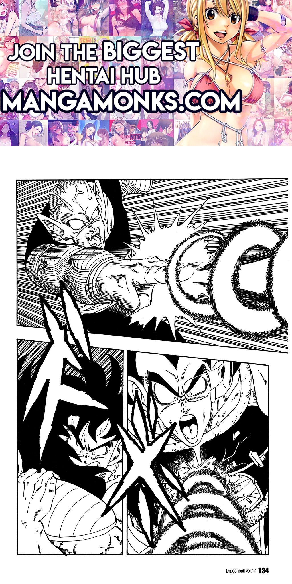 Dragon Ball chapter 204 page 1