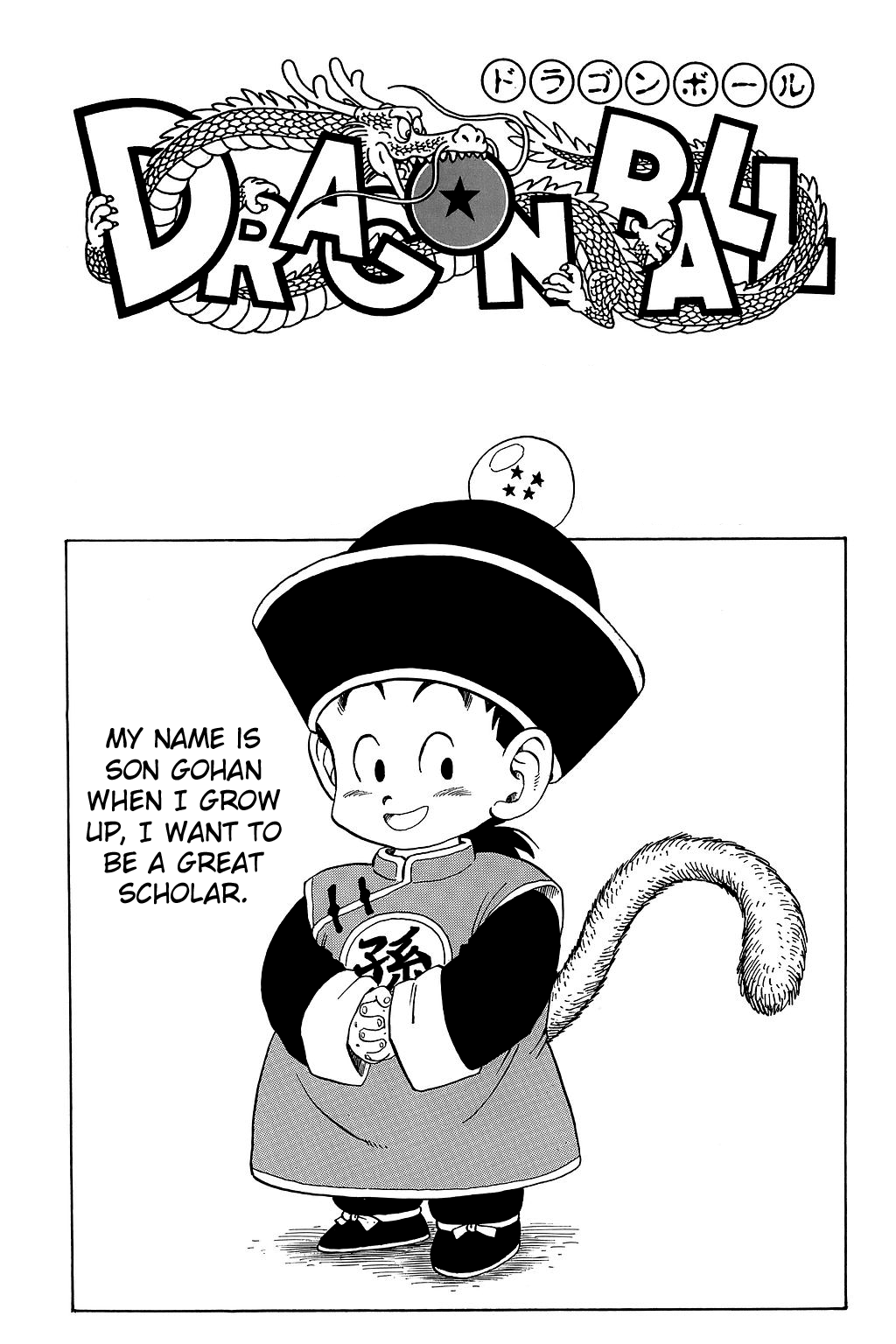 Dragon Ball chapter 209 page 19