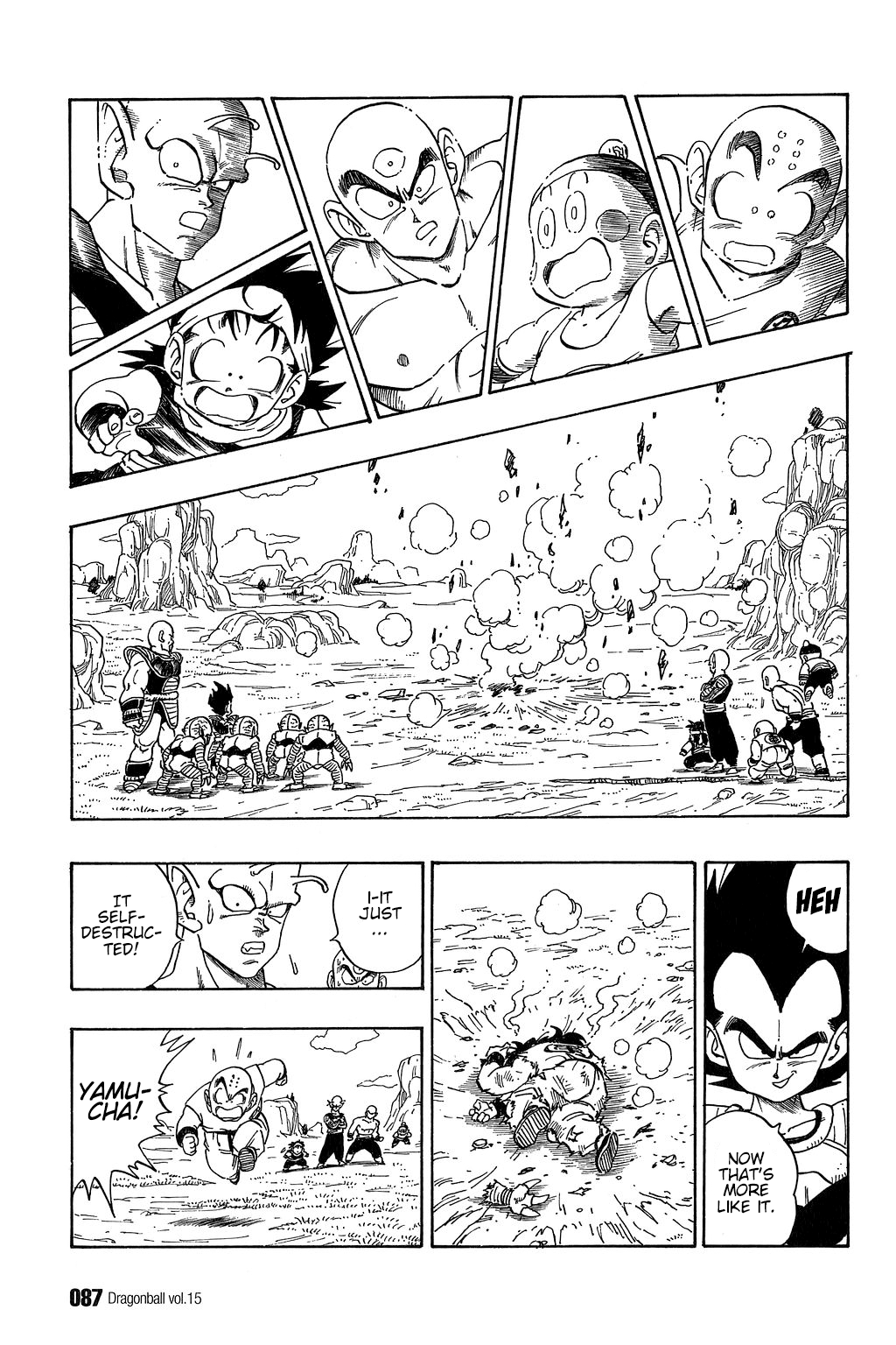 Dragon Ball chapter 215 page 12
