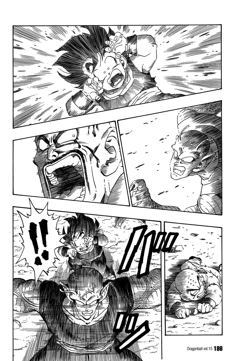 Dragon Ball chapter 222 page 13