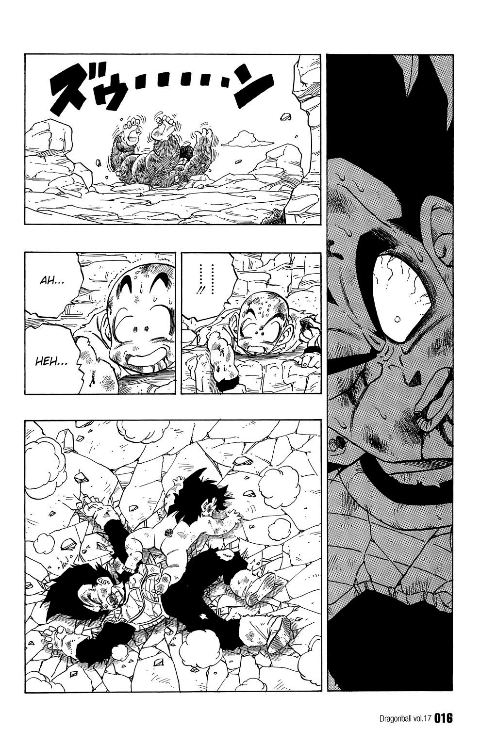 Dragon Ball chapter 240 page 16