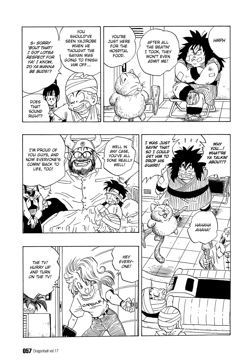 Dragon Ball chapter 243 page 10