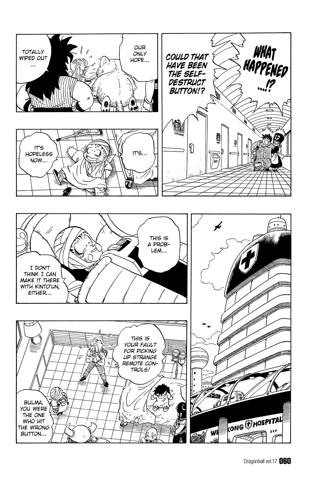 Dragon Ball chapter 243 page 13