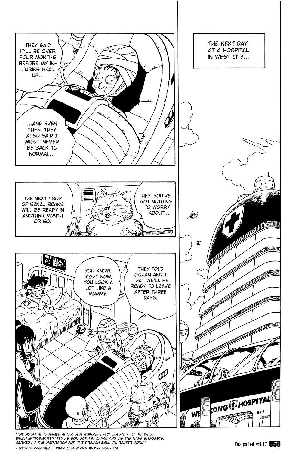 Dragon Ball chapter 243 page 9