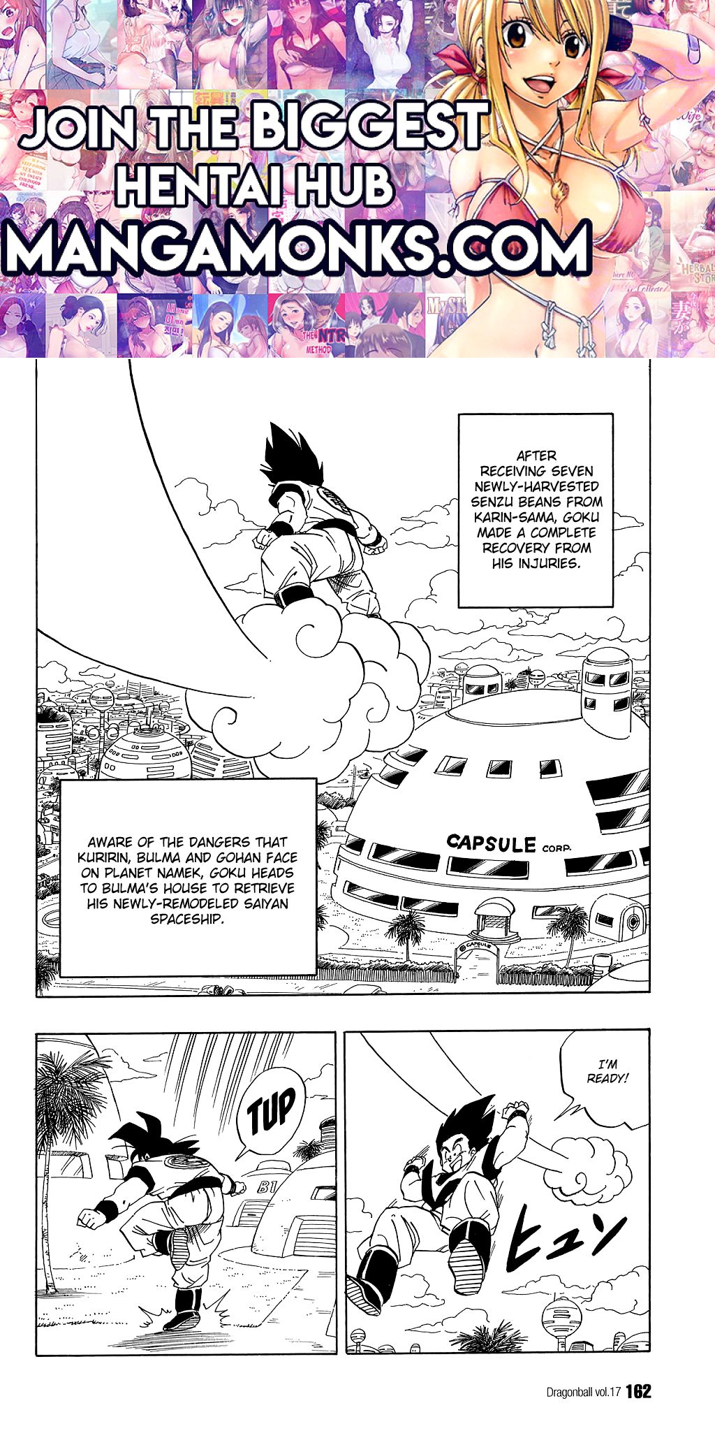 Dragon Ball chapter 251 page 1