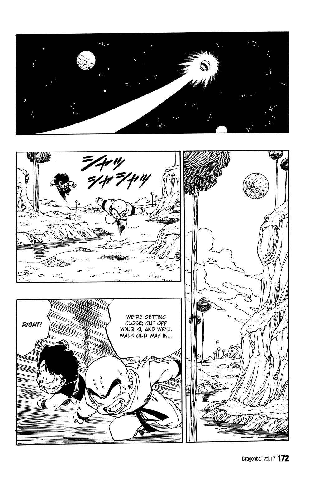 Dragon Ball chapter 251 page 11