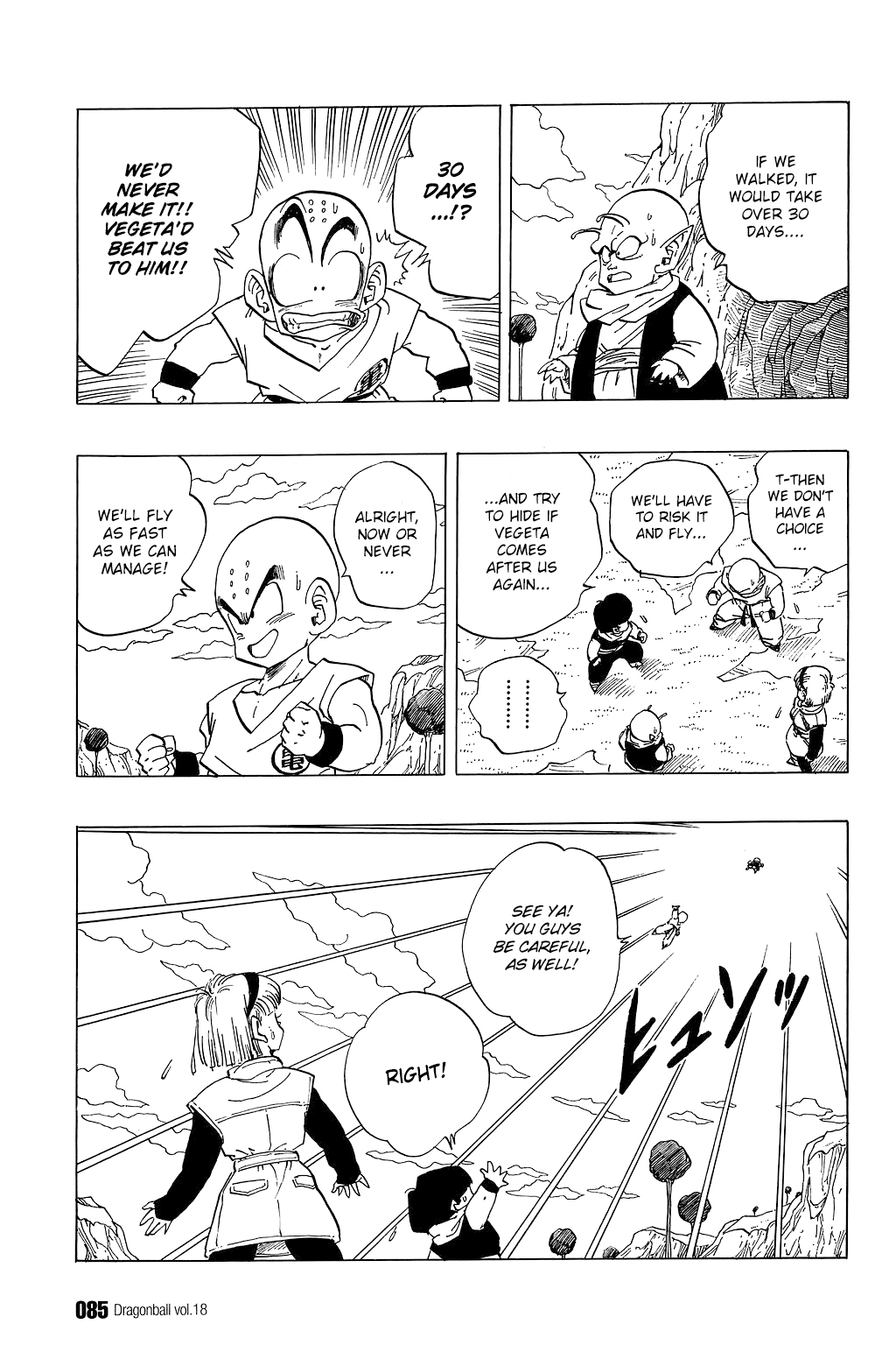 Dragon Ball chapter 260 page 10