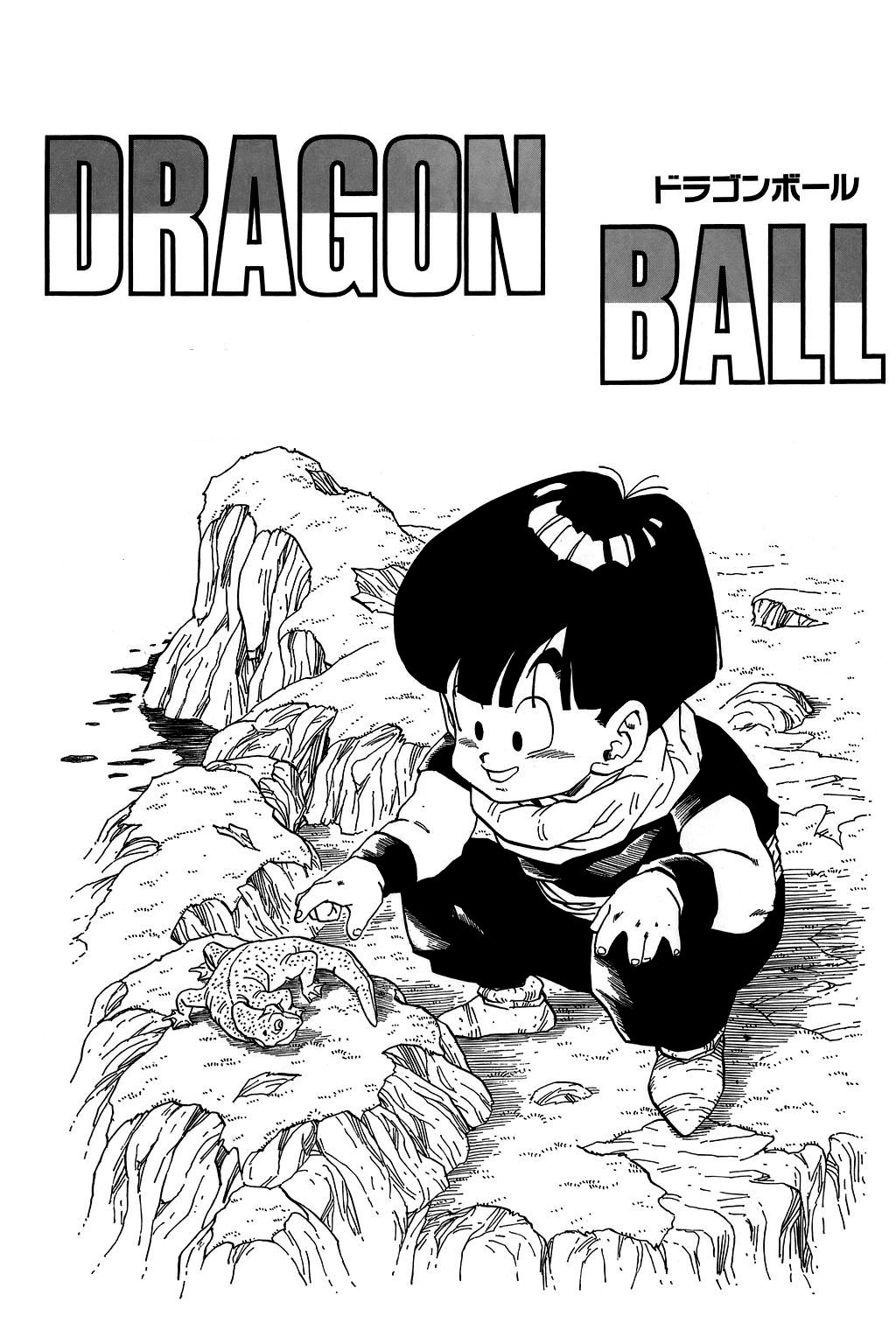 Dragon Ball chapter 284 page 24