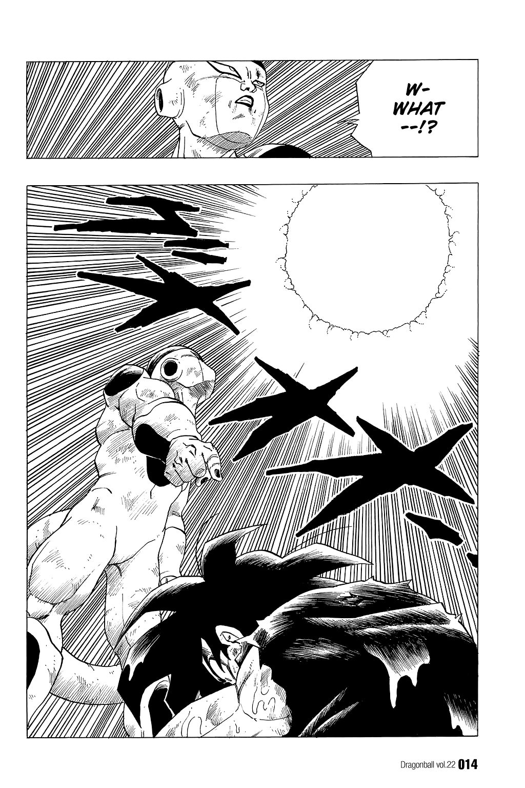 Dragon Ball chapter 315 page 14