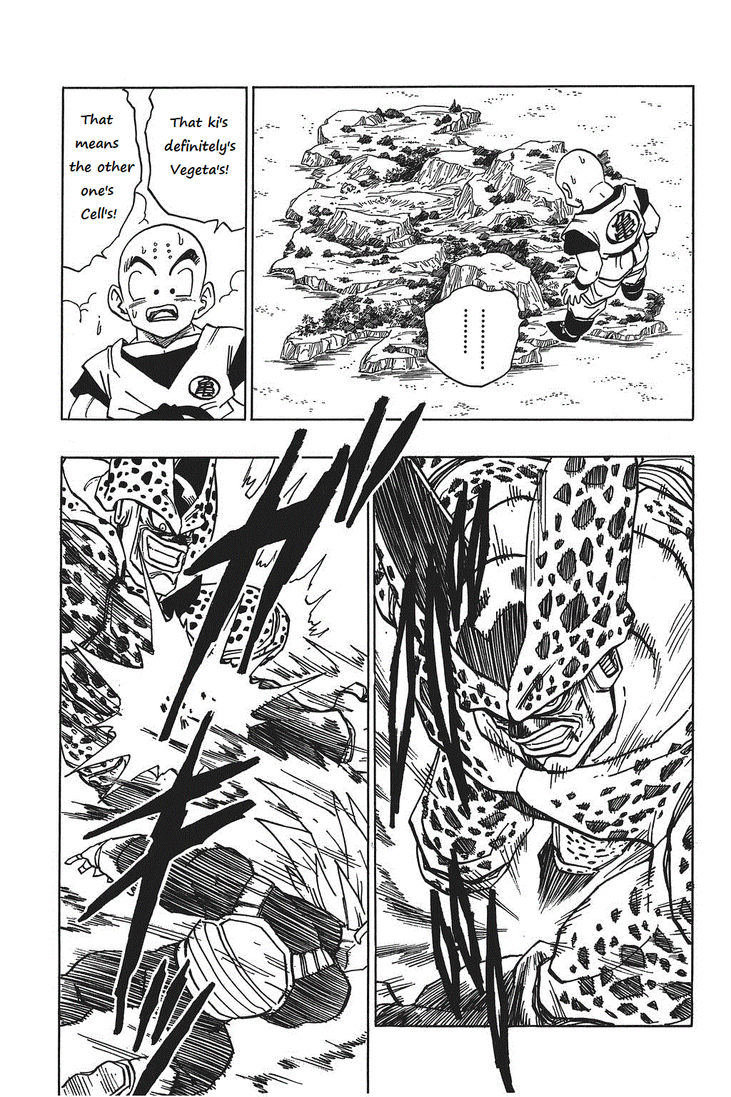 Dragon Ball chapter 378 page 13