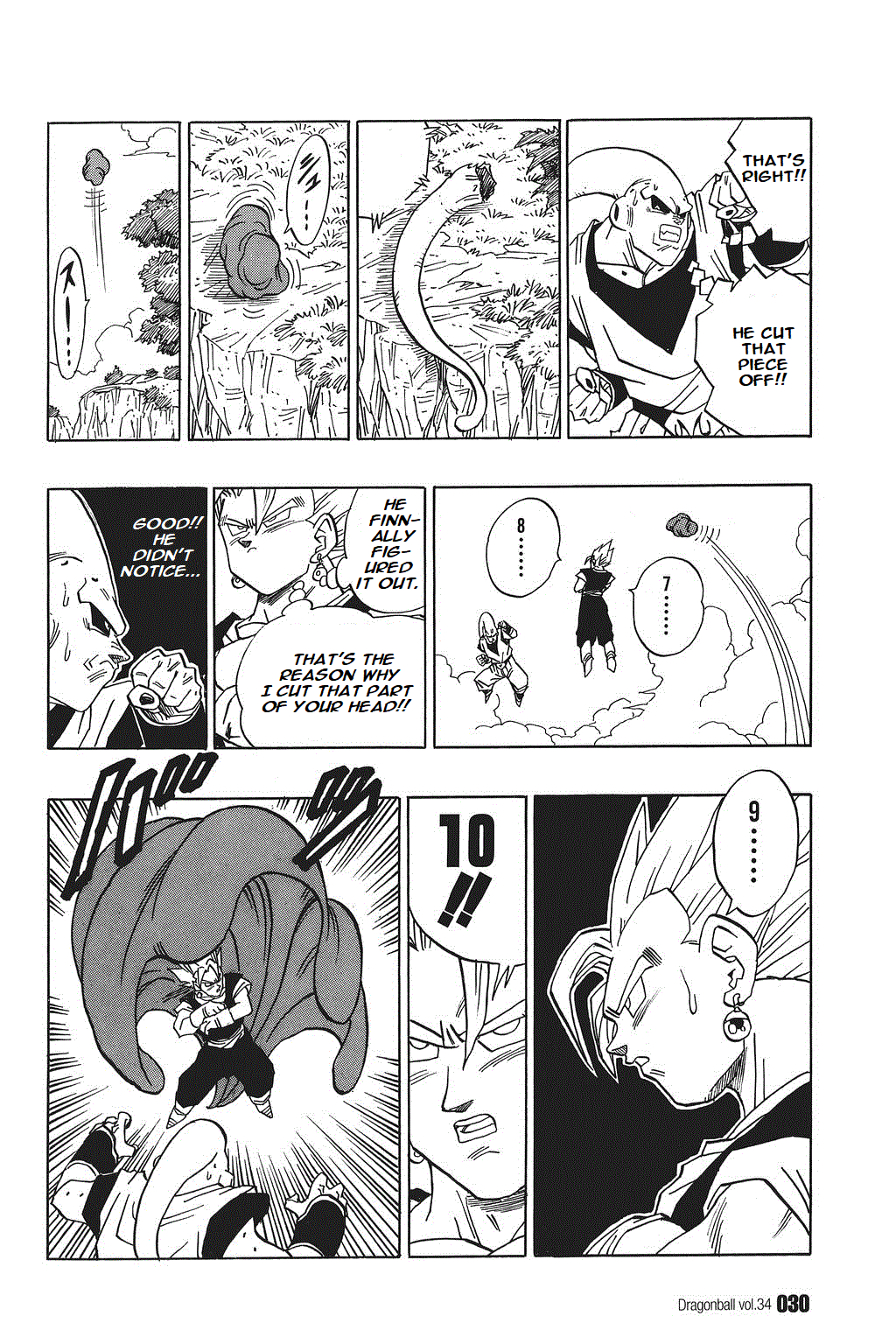 Dragon Ball chapter 505 page 12