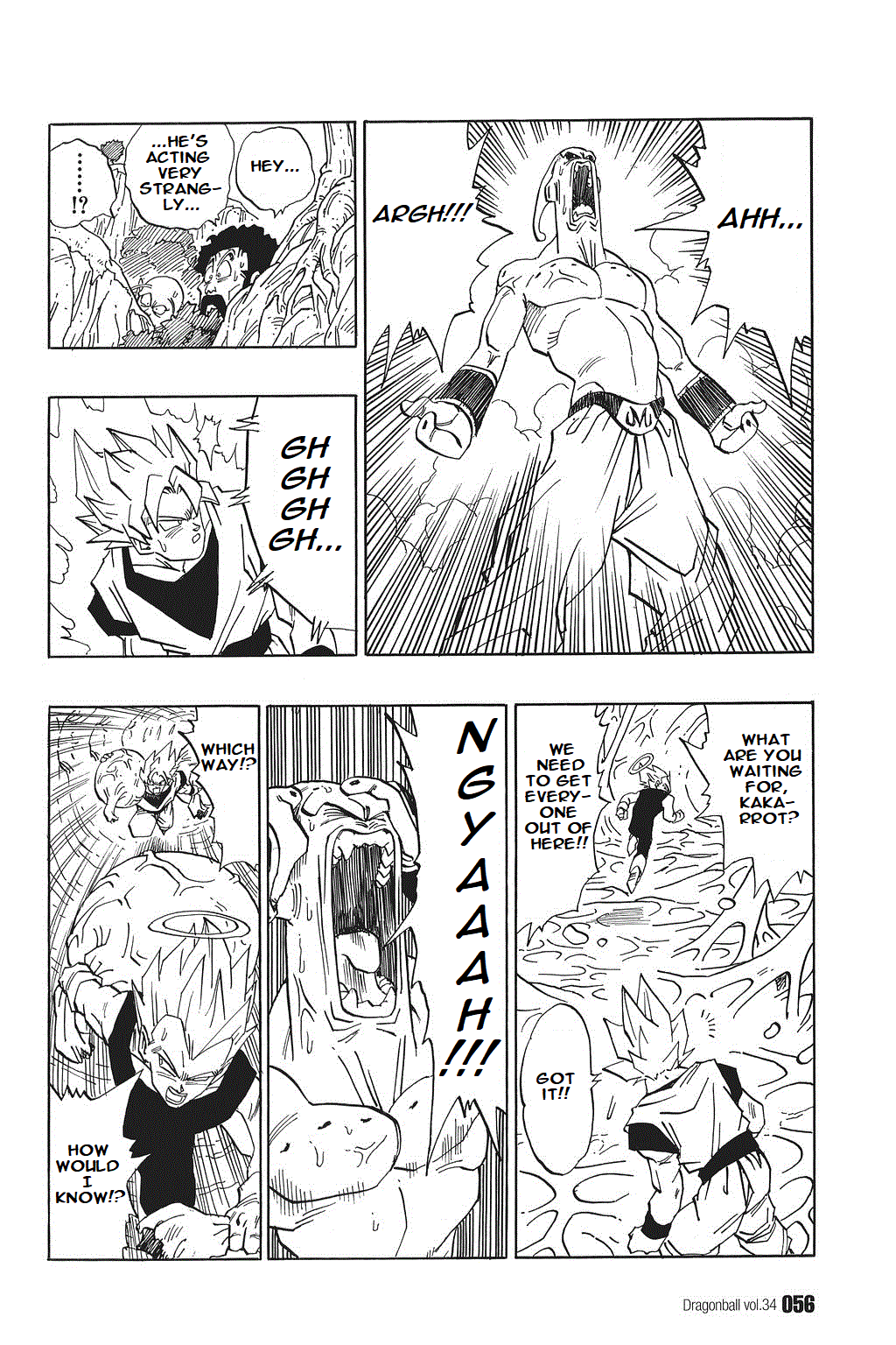Dragon Ball chapter 507 page 10
