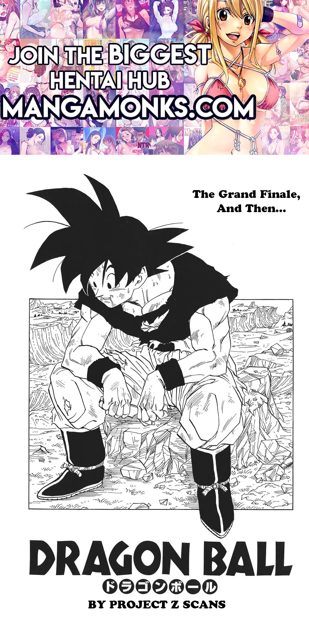 Dragon Ball chapter 517 page 1