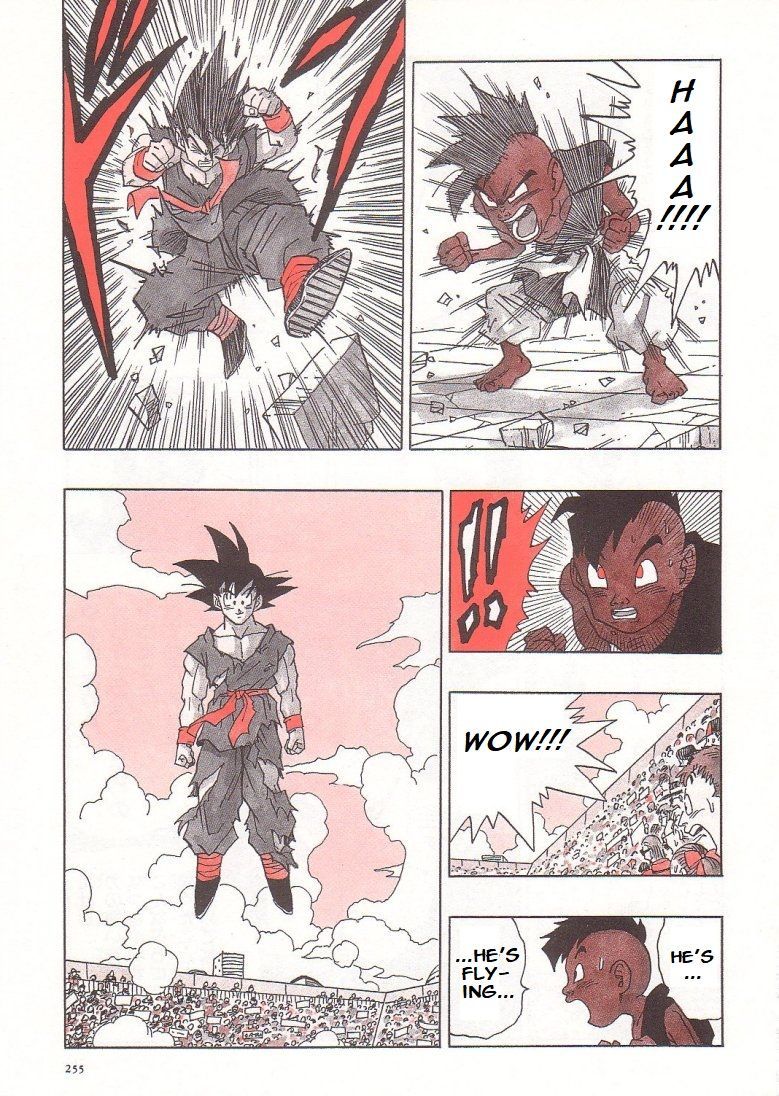 Dragon Ball chapter 519 page 13