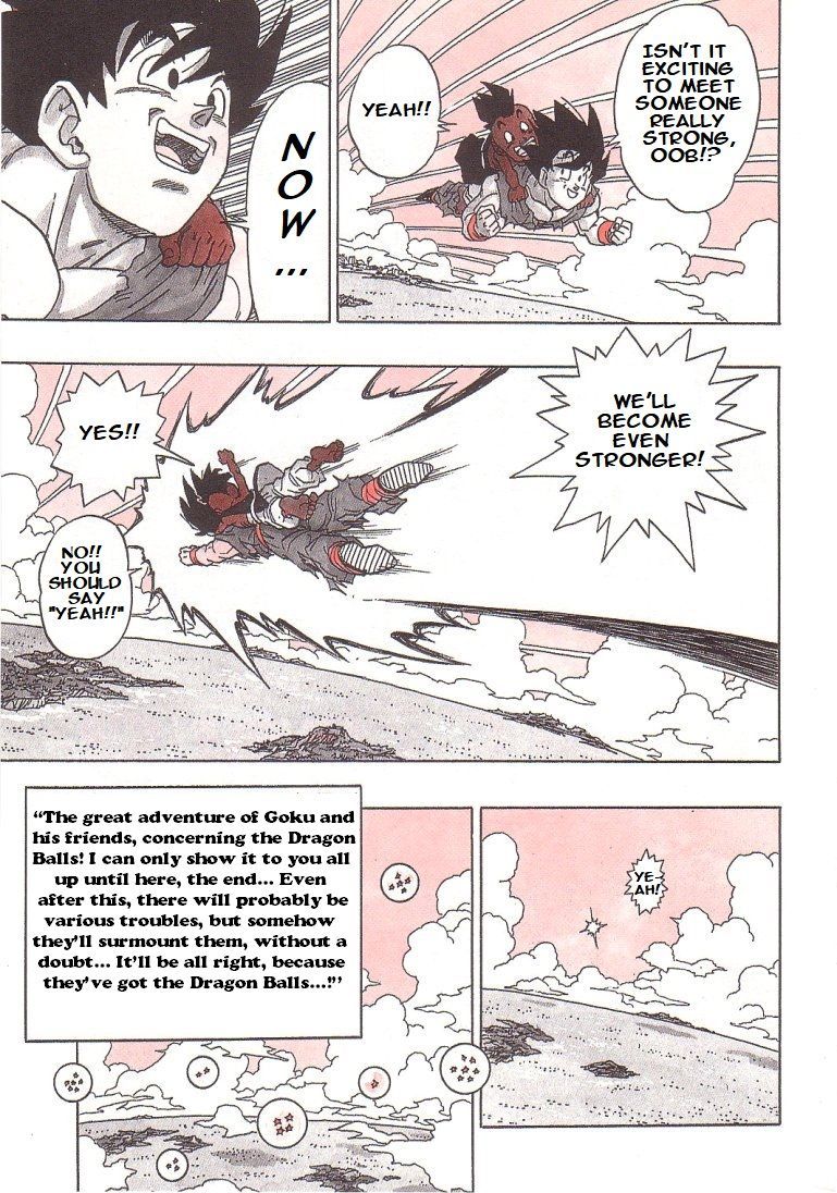 Dragon Ball chapter 519 page 17