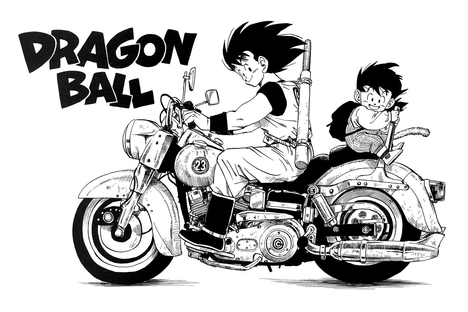 Dragon Ball chapter 209 page 22