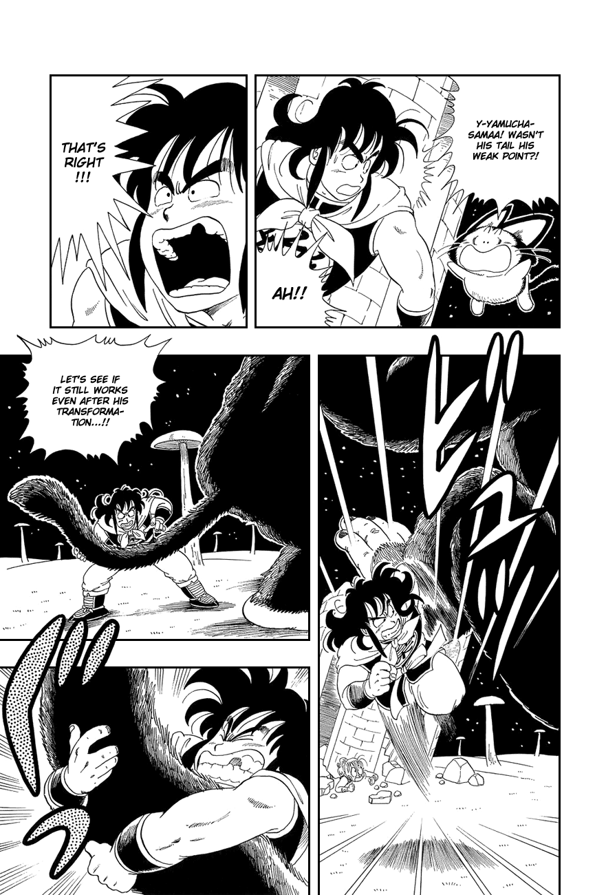 Dragon Ball chapter 22 page 13