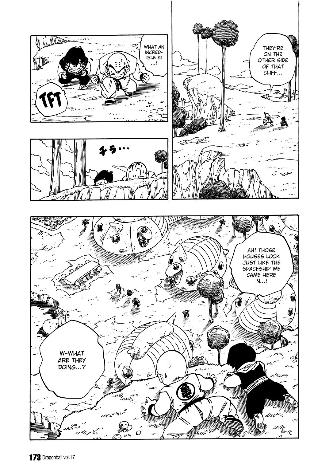 Dragon Ball chapter 251 page 12