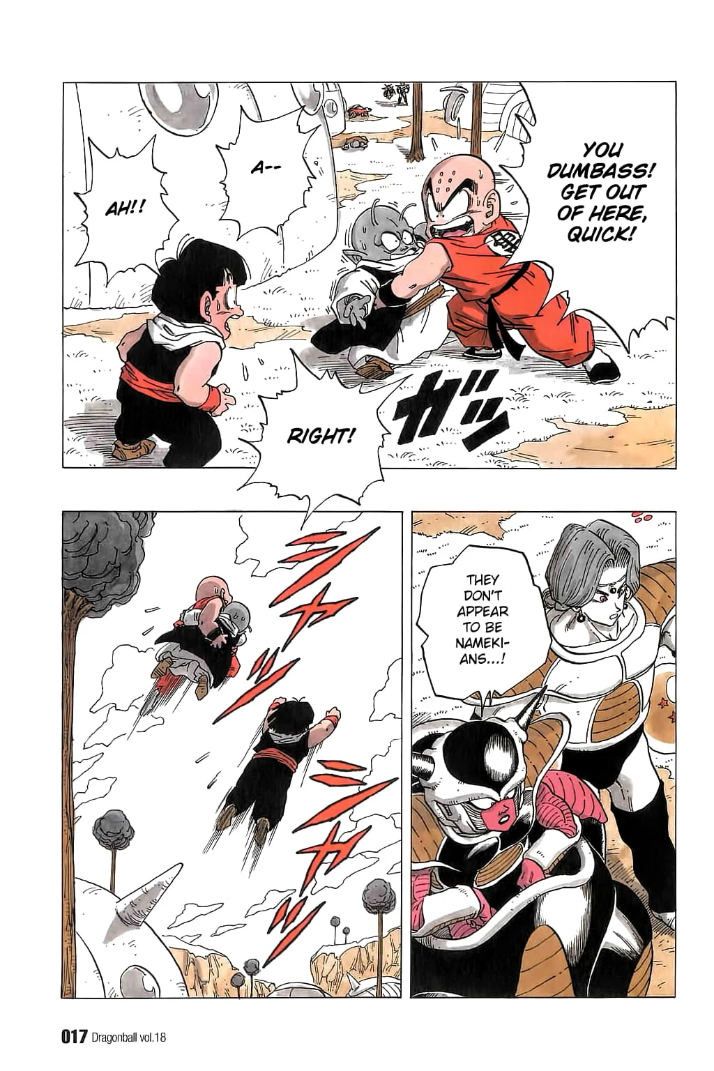 Dragon Ball chapter 255 page 17
